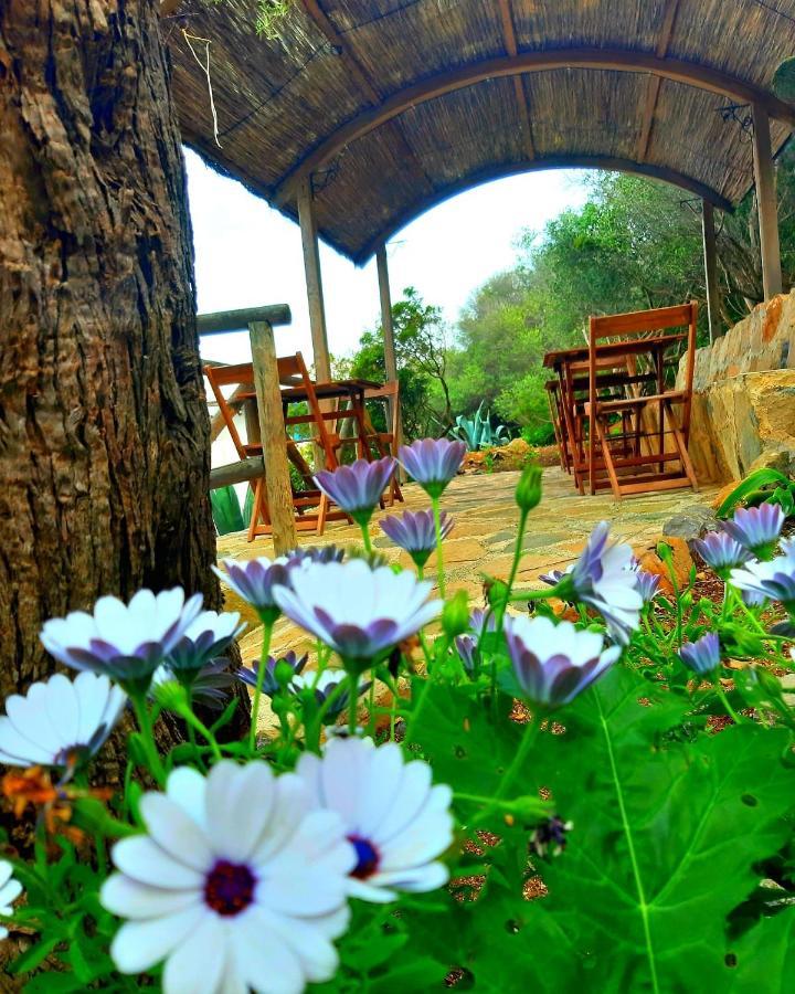 Marettimo Residence Dış mekan fotoğraf